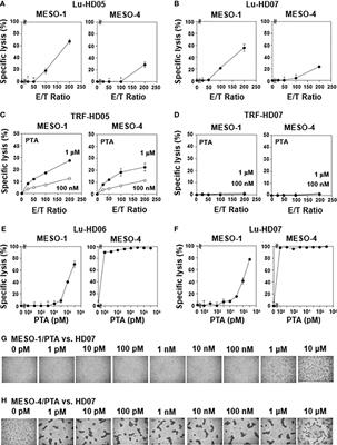 Three distinct mechanisms underlying human γδ T cell-mediated cytotoxicity against malignant pleural mesothelioma